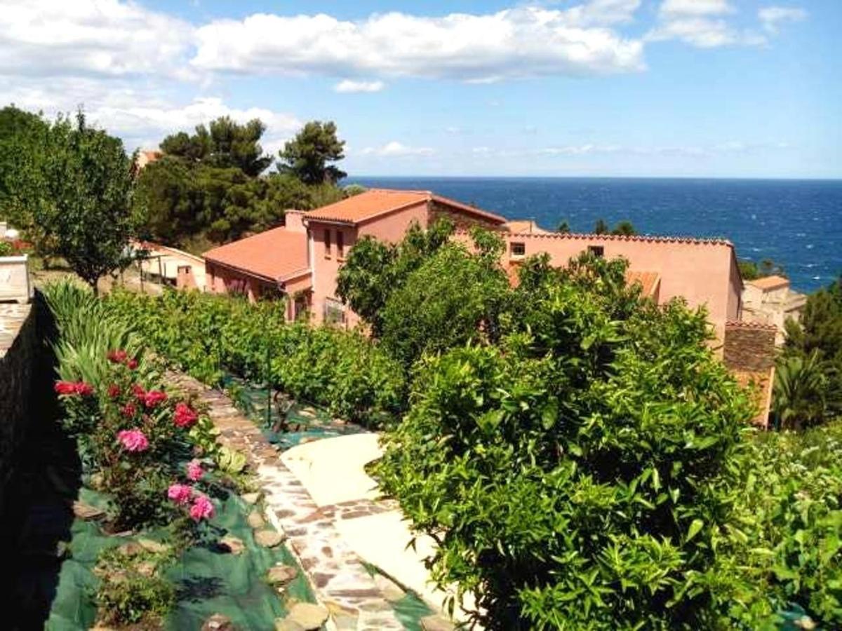 Appartement Lumineux A Collioure Avec Terrasse Et Vue Sur Mer 외부 사진